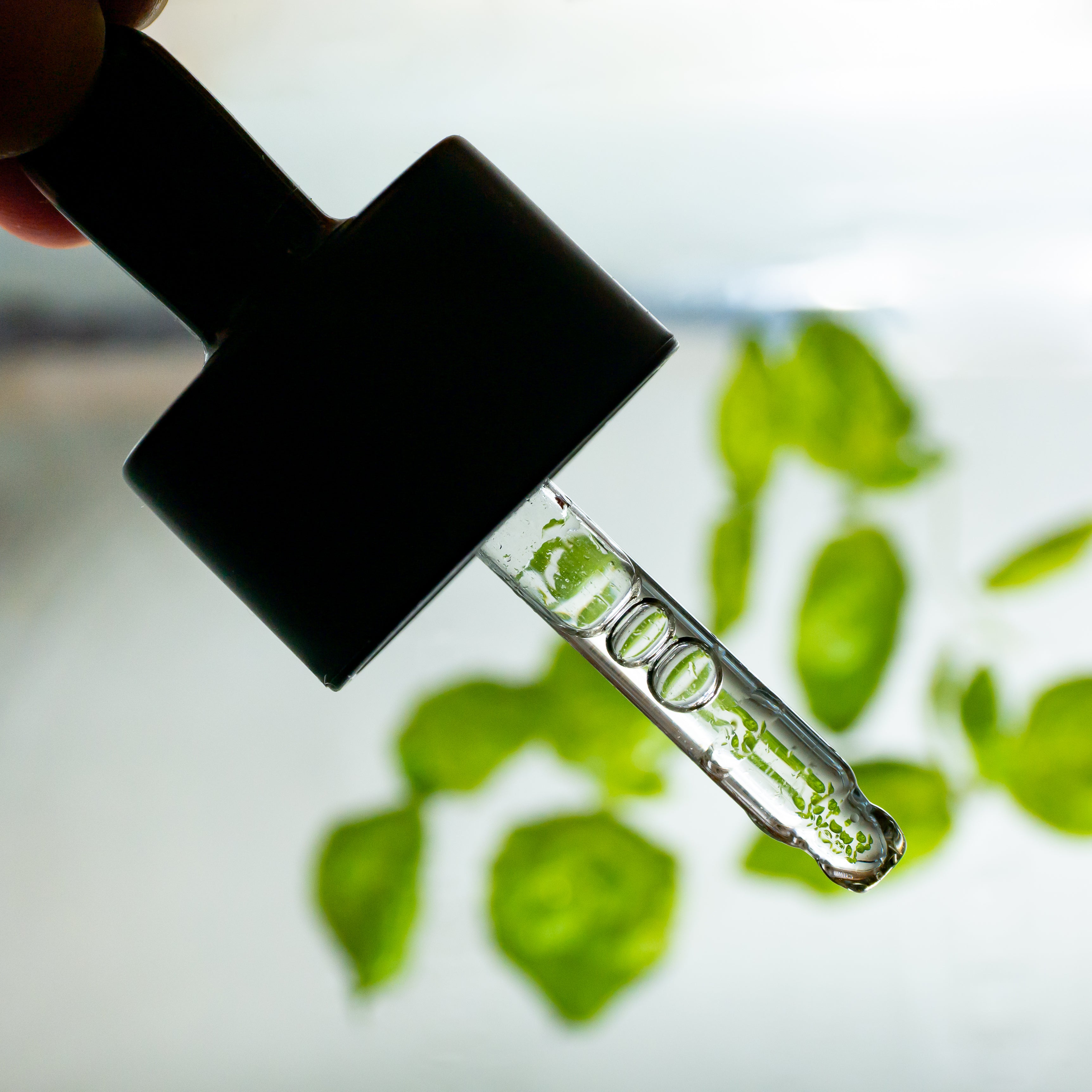 Rainforest Omega Rich Oil Serum - 30 ml-3